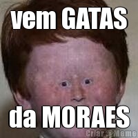 vem GATAS da MORAES