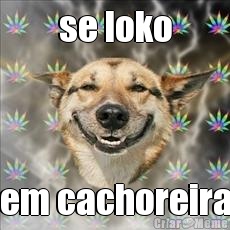 se loko em cachoreira