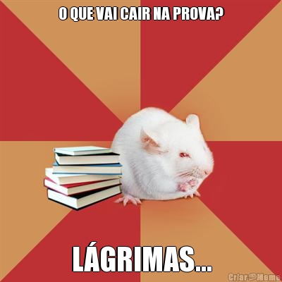 O QUE VAI CAIR NA PROVA? L�GRIMAS...