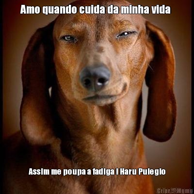 Amo quando cuida da minha vida  Assim me poupa a fadiga ! Haru Pulegio