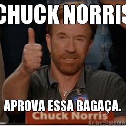 CHUCK NORRIS APROVA ESSA BAGA�A.