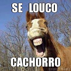 SE   LOUCO  CACHORRO