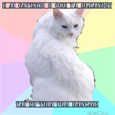 E ai gatinho o que ta olhando? Vai mi tira pra dan�ar!
