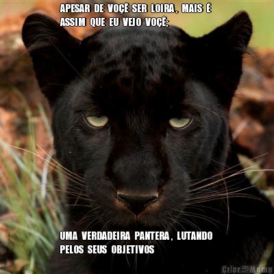 APESAR  DE  VO��  SER  LOIRA ,  MAIS  � 
ASSIM  QUE  EU  VEJO  VO��; UMA  VERDADEIRA  PANTERA ,  LUTANDO 
PELOS  SEUS  OBJETIVOS