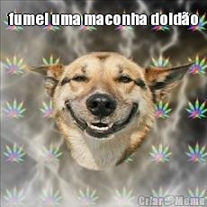 fumei uma maconha doid�o 
