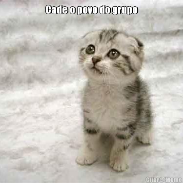 Cade o povo do grupo 