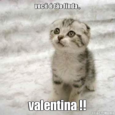 voc� � t�o linda , valentina !!