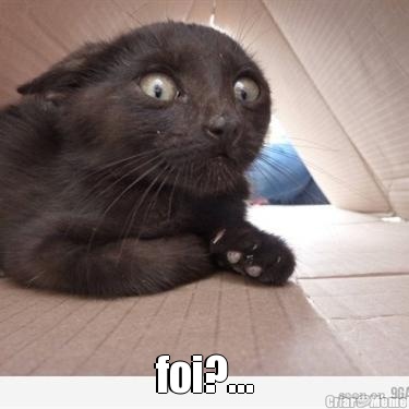  foi?...