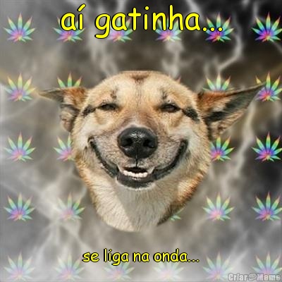 a� gatinha... se liga na onda...