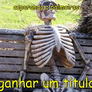 esperando o palmeiras ganhar um titulo