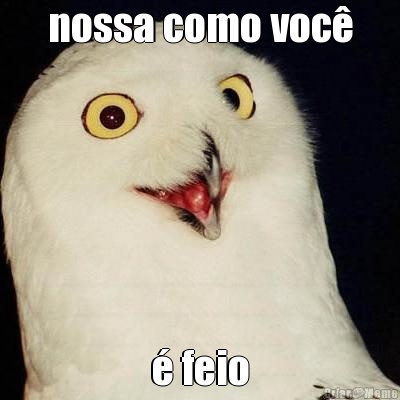 nossa como voc� � feio