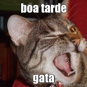 boa tarde gata