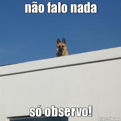 n�o falo nada s� observo!