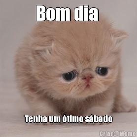 Bom dia  Tenha um �timo s�bado