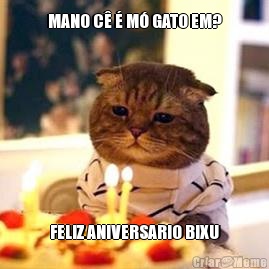 MANO C� � M� GATO EM? FELIZ ANIVERSARIO BIXU