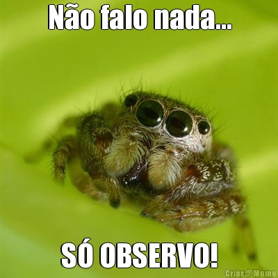 N�o falo nada... S� OBSERVO!