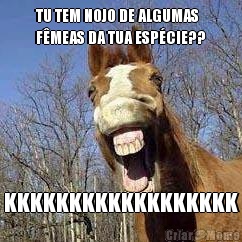 TU TEM NOJO DE ALGUMAS
F�MEAS DA TUA ESP�CIE?? KKKKKKKKKKKKKKKKKK