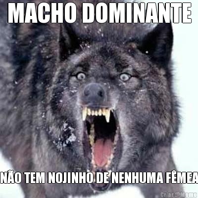 MACHO DOMINANTE N�O TEM NOJINHO DE NENHUMA F�MEA