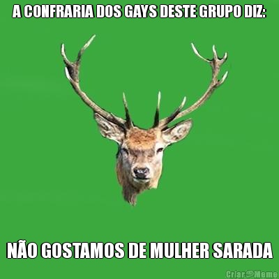 A CONFRARIA DOS GAYS DESTE GRUPO DIZ: N�O GOSTAMOS DE MULHER SARADA