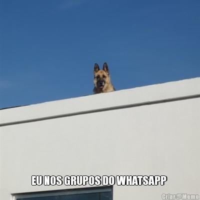  EU NOS GRUPOS DO WHATSAPP 