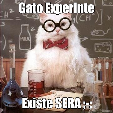 Gato Experinte Existe SERA ;-;