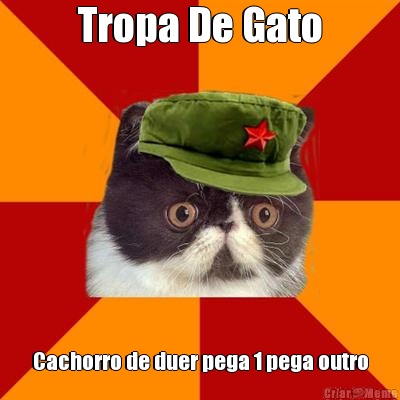 Tropa De Gato Cachorro de duer pega 1 pega outro