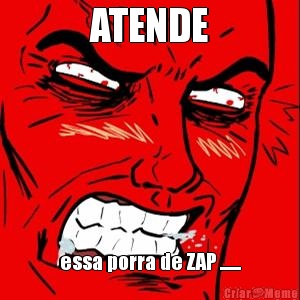 ATENDE essa porra de ZAP .......