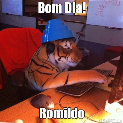 Bom Dia! Romildo