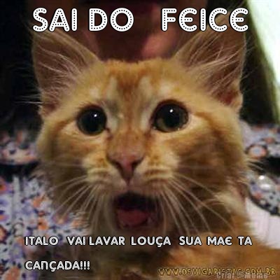 sai do   feice italo   vai lavar  lou�a   sua  mae  ta 
can�ada!!!     