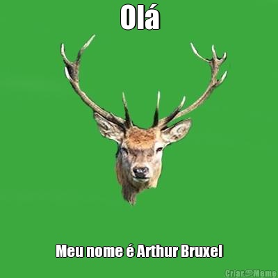 Ol� Meu nome � Arthur Bruxel