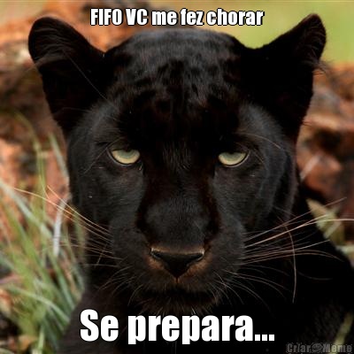 FIFO VC me fez chorar Se prepara...