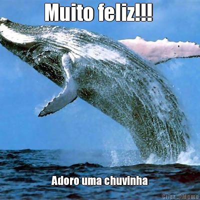 Muito feliz!!!  Adoro uma chuvinha