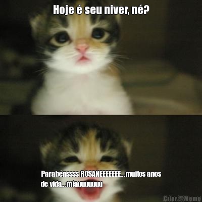 Hoje � seu niver, n�? Parab�nssss ROSANEEEEEEE...muitos anos
de vida...miauuuuuuu