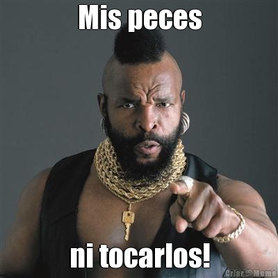Mis peces ni tocarlos!