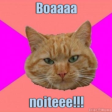 Boaaaa noiteee!!!
