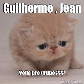 Guilherme , Jean Volta pro grupo ???