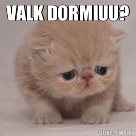 VALK DORMIUU? 