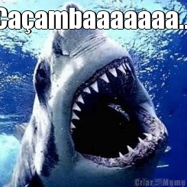 Ca�ambaaaaaaa... 