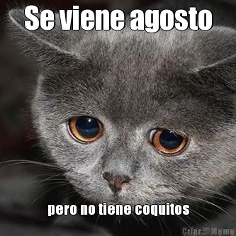 Se viene agosto pero no tiene coquitos