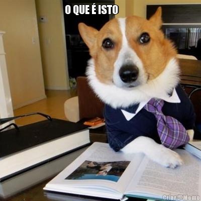 O QUE � ISTO          