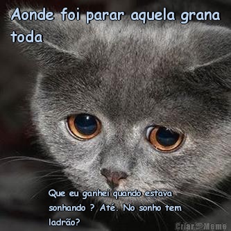 Aonde foi parar aquela grana
toda Que eu ganhei quando estava
sonhando ? At�. No sonho tem
ladr�o? 
