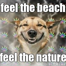 feel the beach feel the nature
