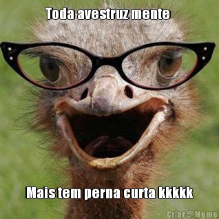 Toda avestruz mente  Mais tem perna curta kkkkk