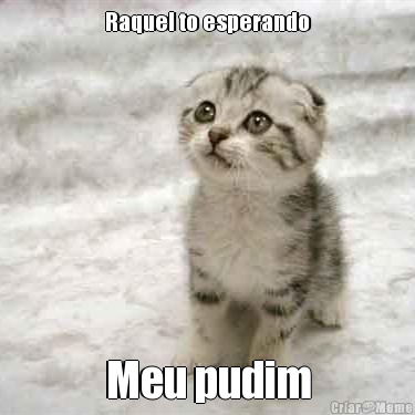 Raquel to esperando Meu pudim