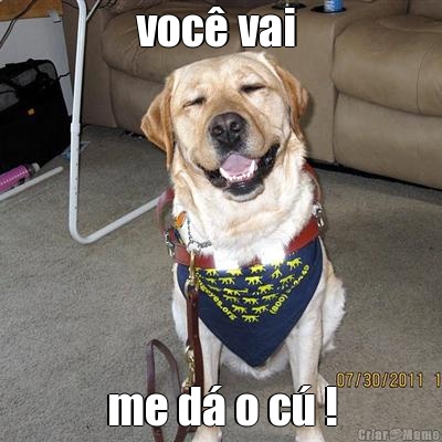 voc� vai  me d� o c� !