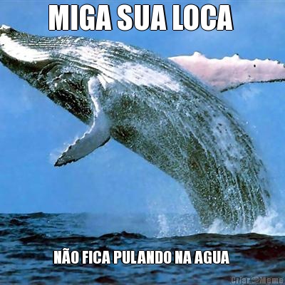 MIGA SUA LOCA  N�O FICA PULANDO NA AGUA 