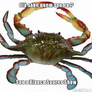 Ol� sabe quem sou eu ? Sou a Bianca Soares Show