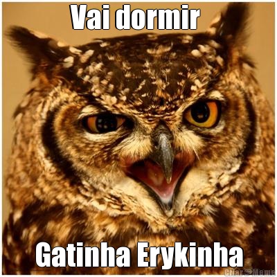 Vai dormir  Gatinha Erykinha
