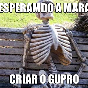 ESPERAMDO A MARA CRIAR O GUPRO