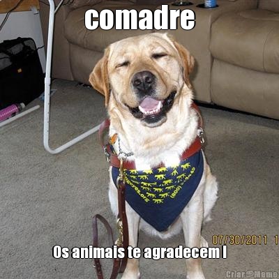 comadre Os animais te agradecem !